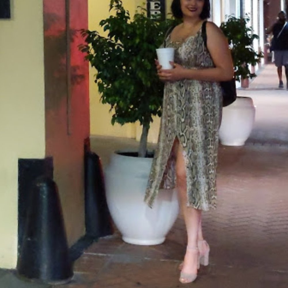 Hint of Blush Snake Print Midi Dress